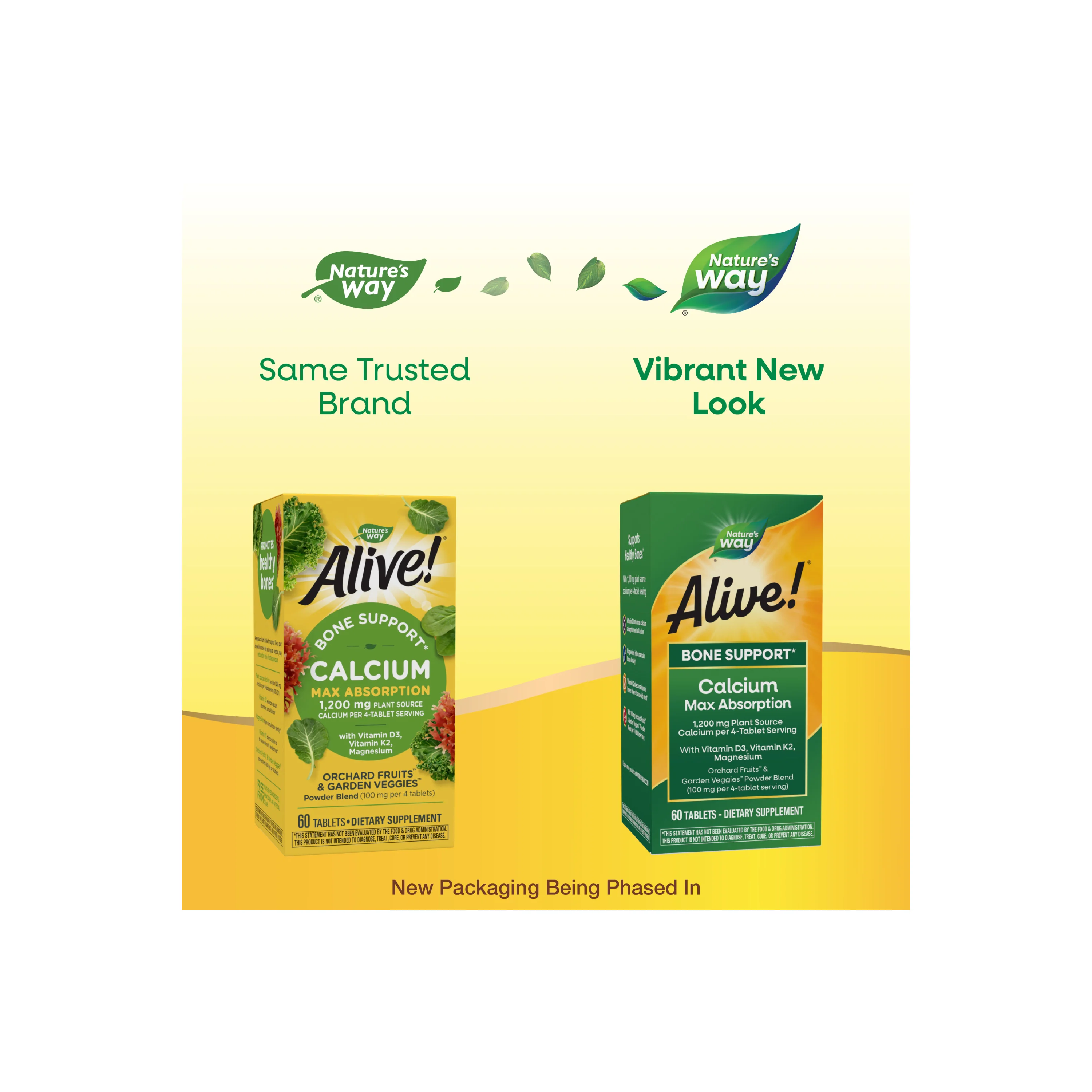 Alive! Calcium (TEST2) - Image 5