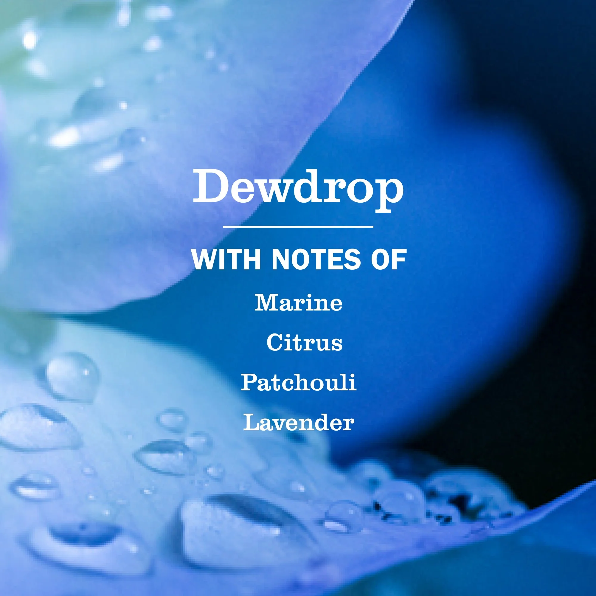 Dish Soap - Image 108