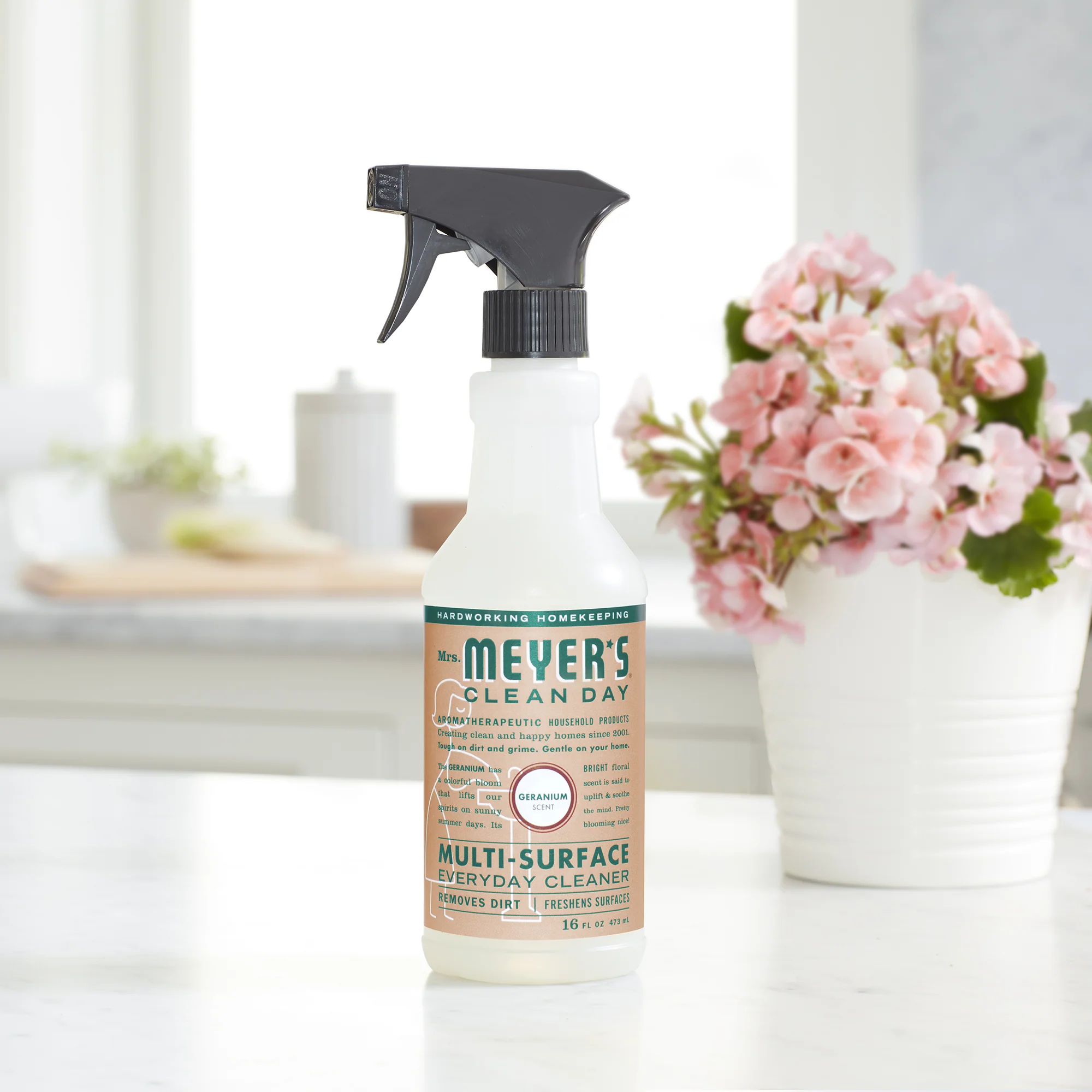 Multi-Surface Cleaner - Image 51
