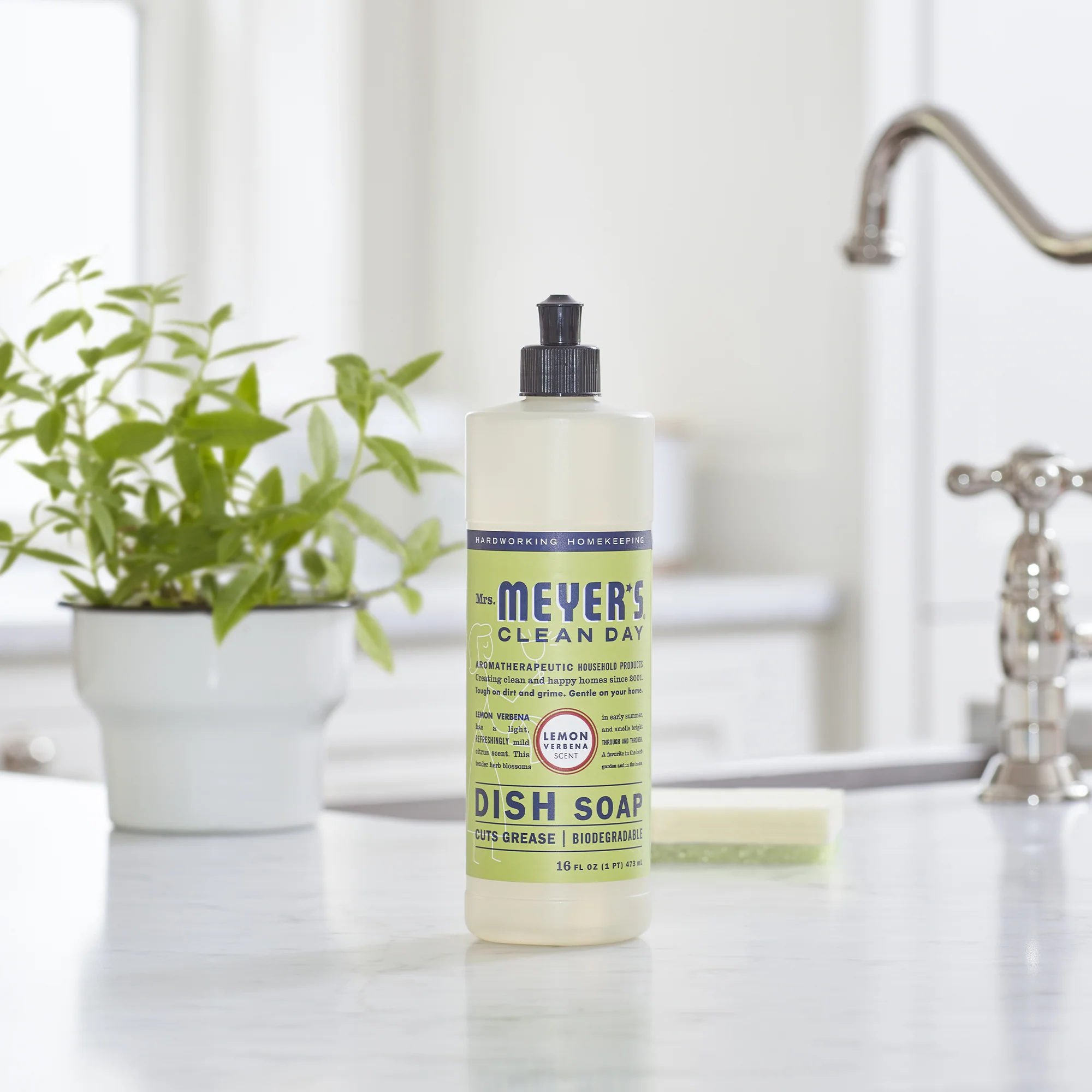 Dish Soap - Image 66