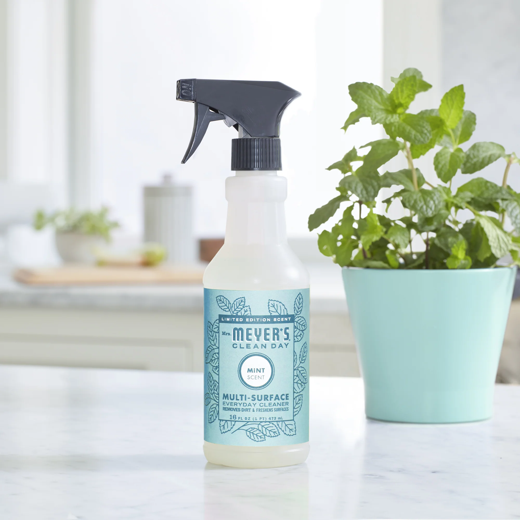 Multi-Surface Cleaner - Image 72