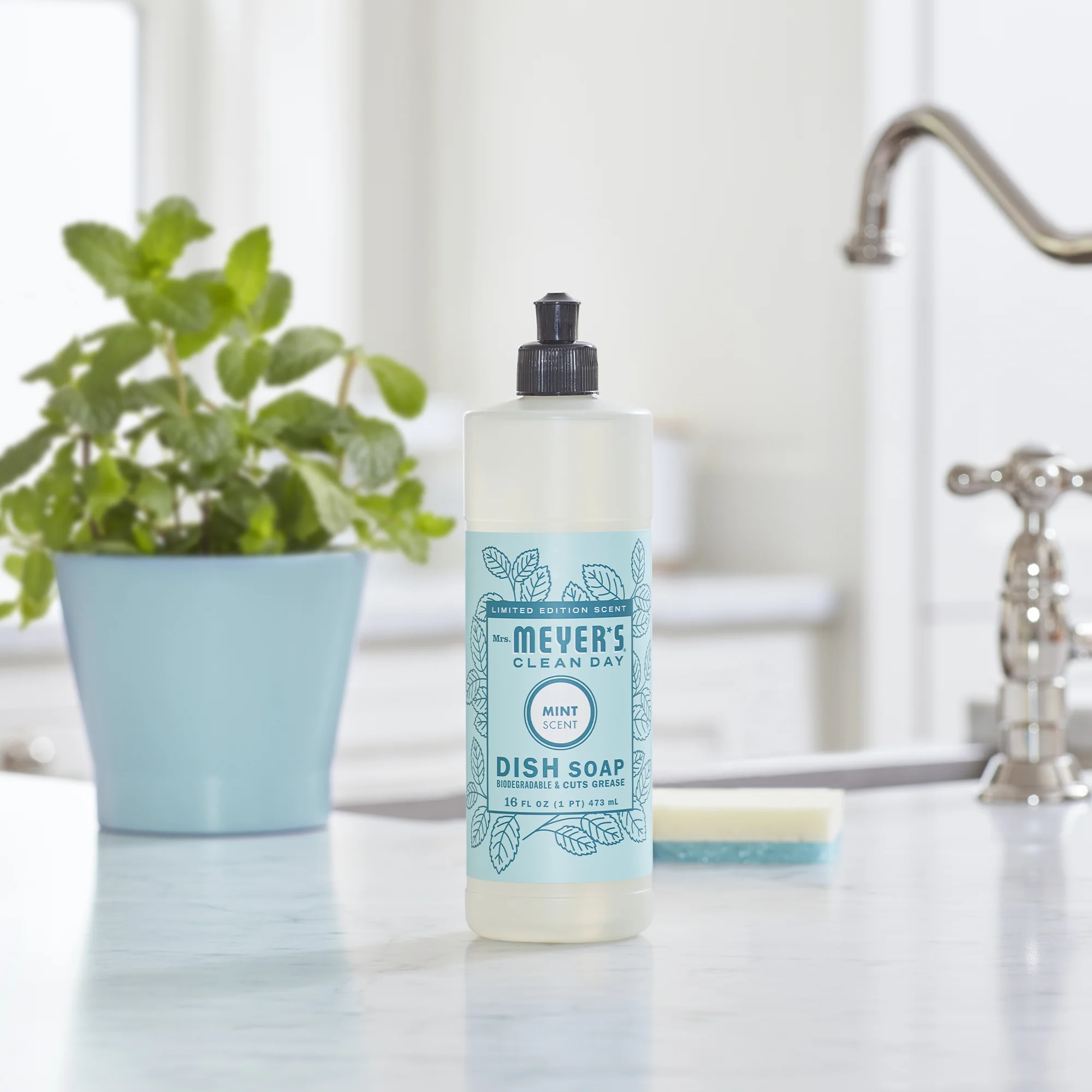 Dish Soap - Image 85