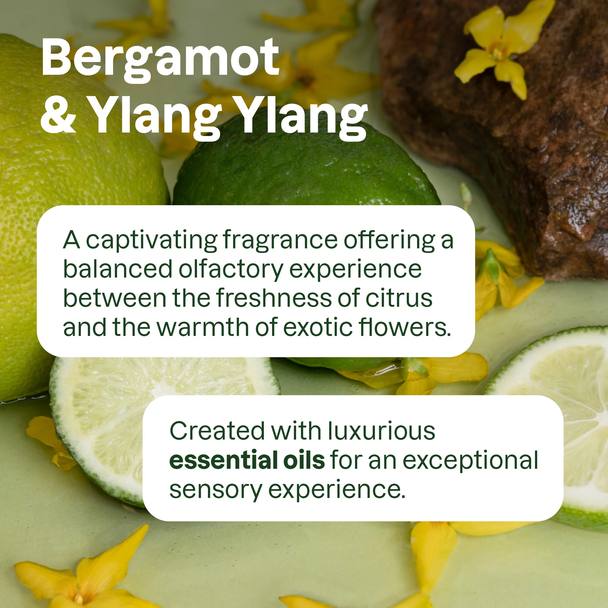 super leaves essential oils Conditioner Nourishing - Image 5