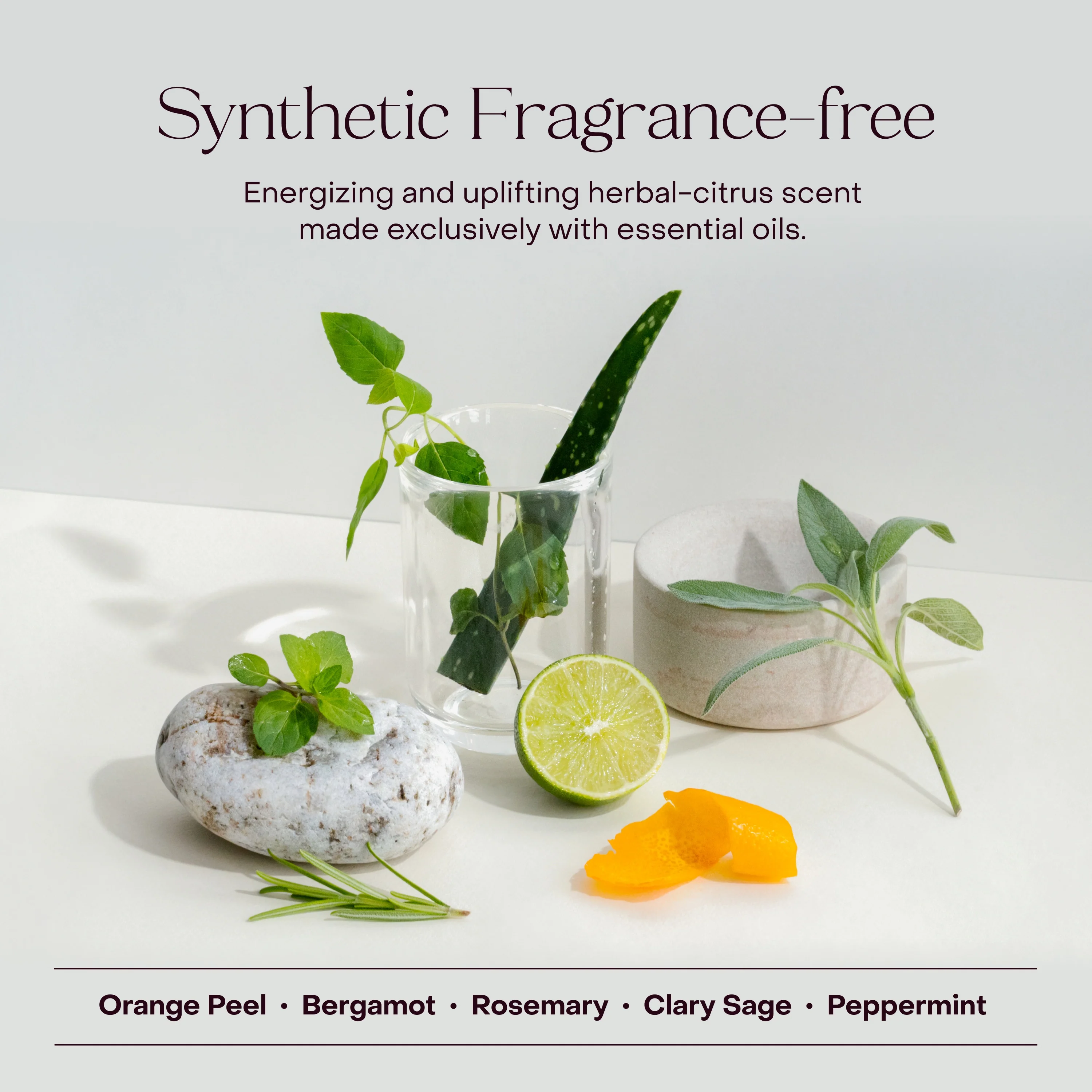 The Body Wash Concentrate - Image 7